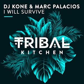 DJ KONE & MARC PALACIOS - I WILL SURVIVE
